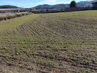 Terreno rustico in vendita a Cehegín
