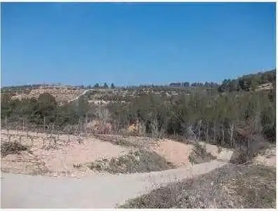 Rural land for sale in Els Guiamets, imagen 3