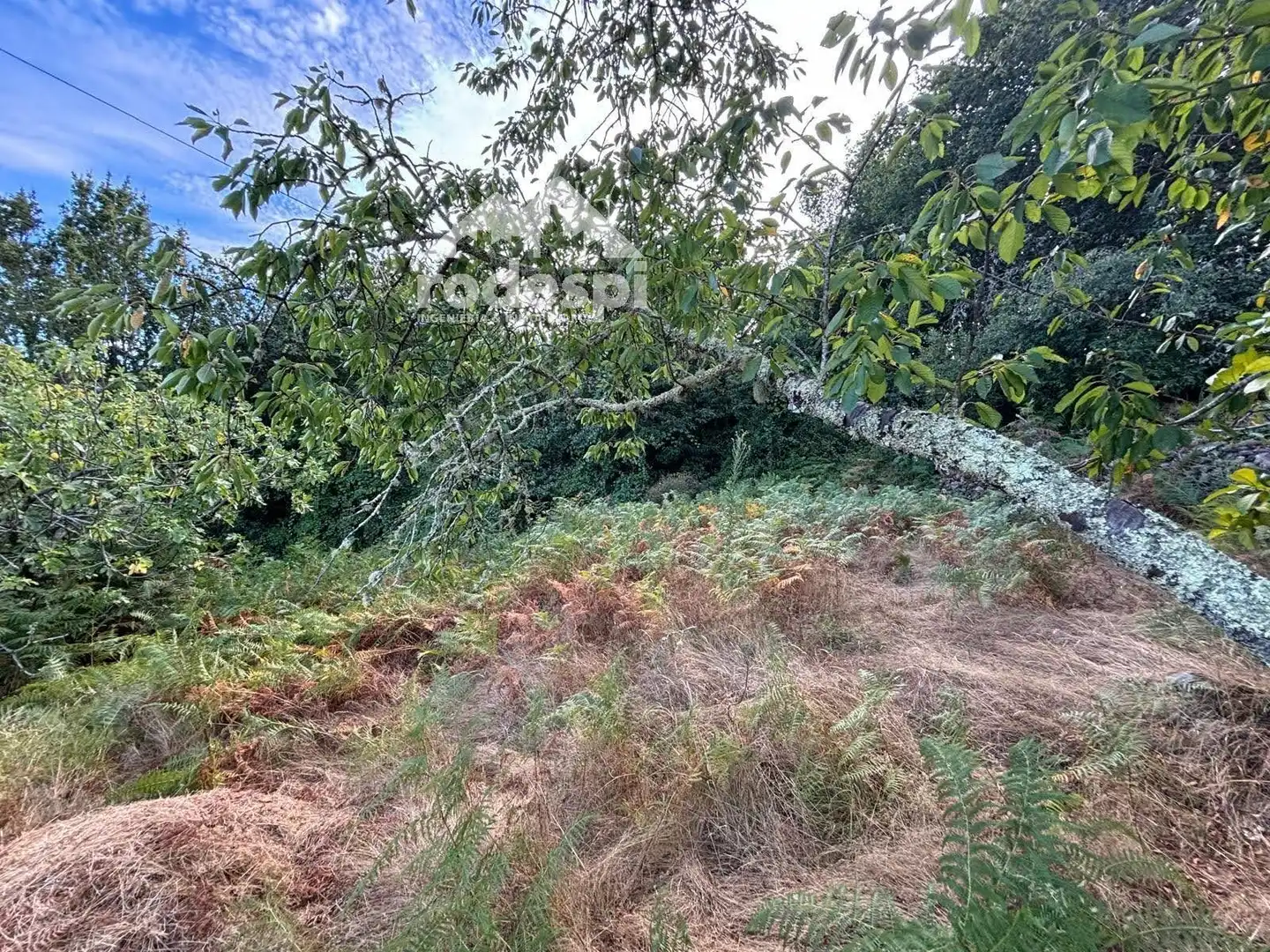 Xalet en venda a A Cañiza, imagen 28