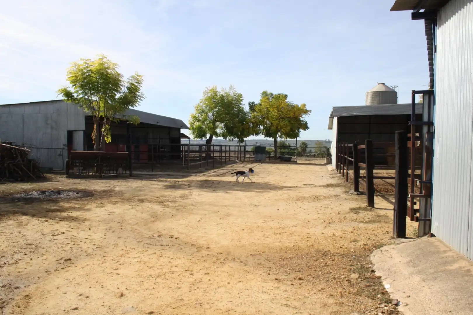 Houses for sale in Avenida REYES DE ESPAÑA, 66, Castilleja del Campo