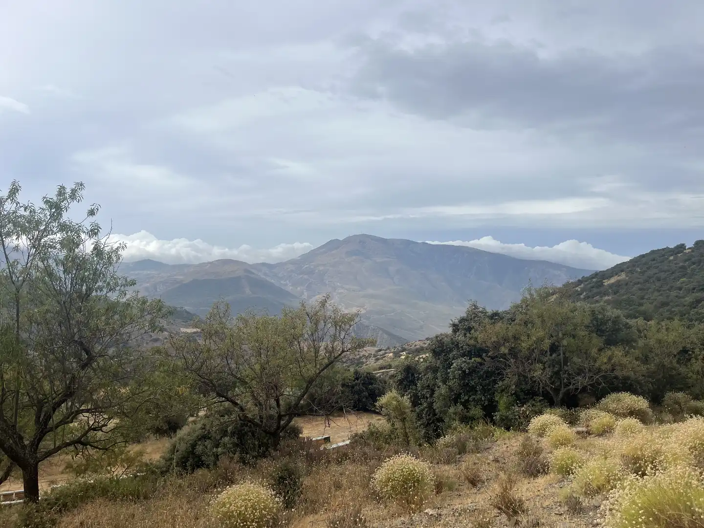 Vista exterior de Terreno en venta en La Taha