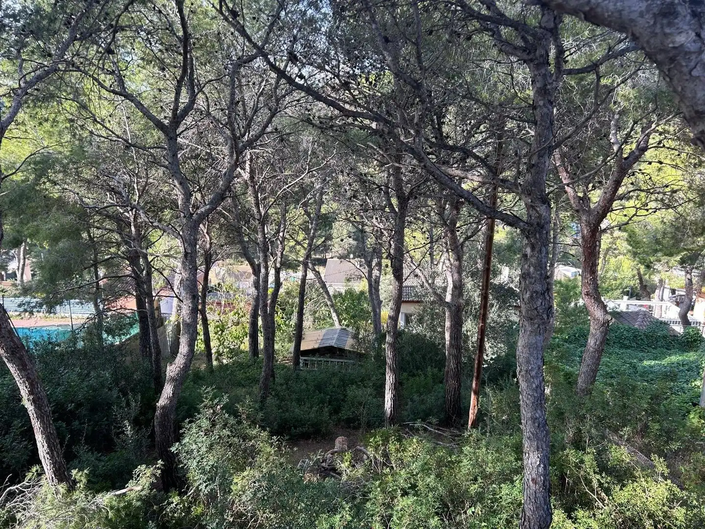 Lands and plots for sale in Segur de Calafell, imagen 2