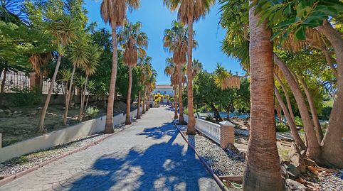 LA CAPELLANIA // BENALMADENA, imatge 3