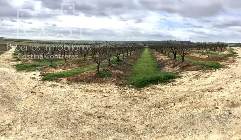 Terreno rústico en venta en Huévar del Aljarafe, imagen 21