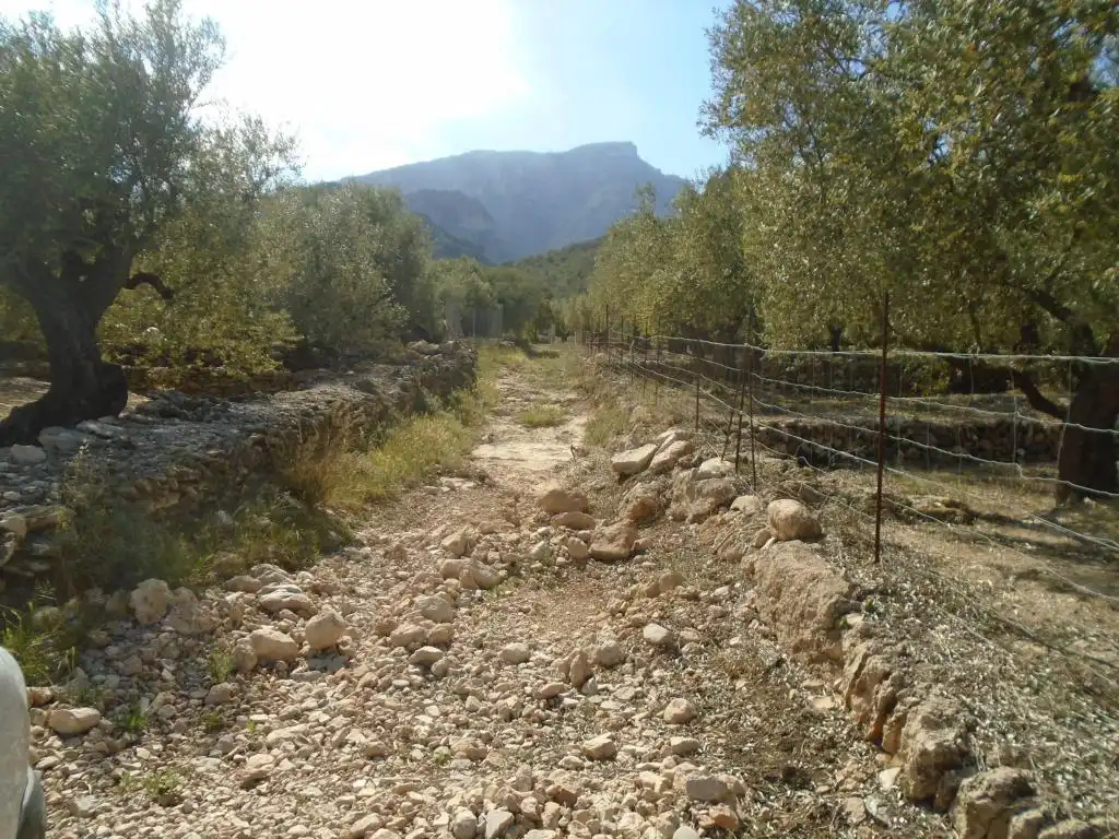 Residential land for sale in Vall D'En Pasto, imagen 12