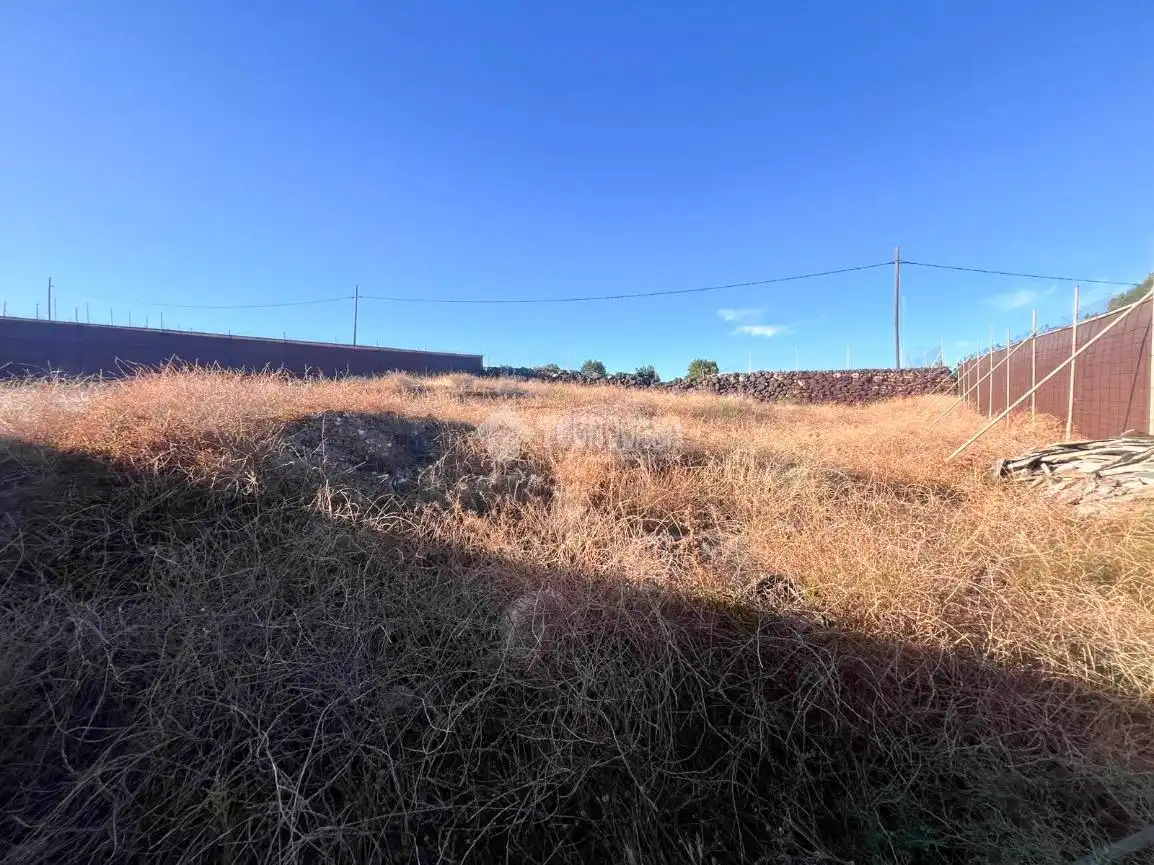 Rural land for sale in Ingenio pueblo, imagen 14
