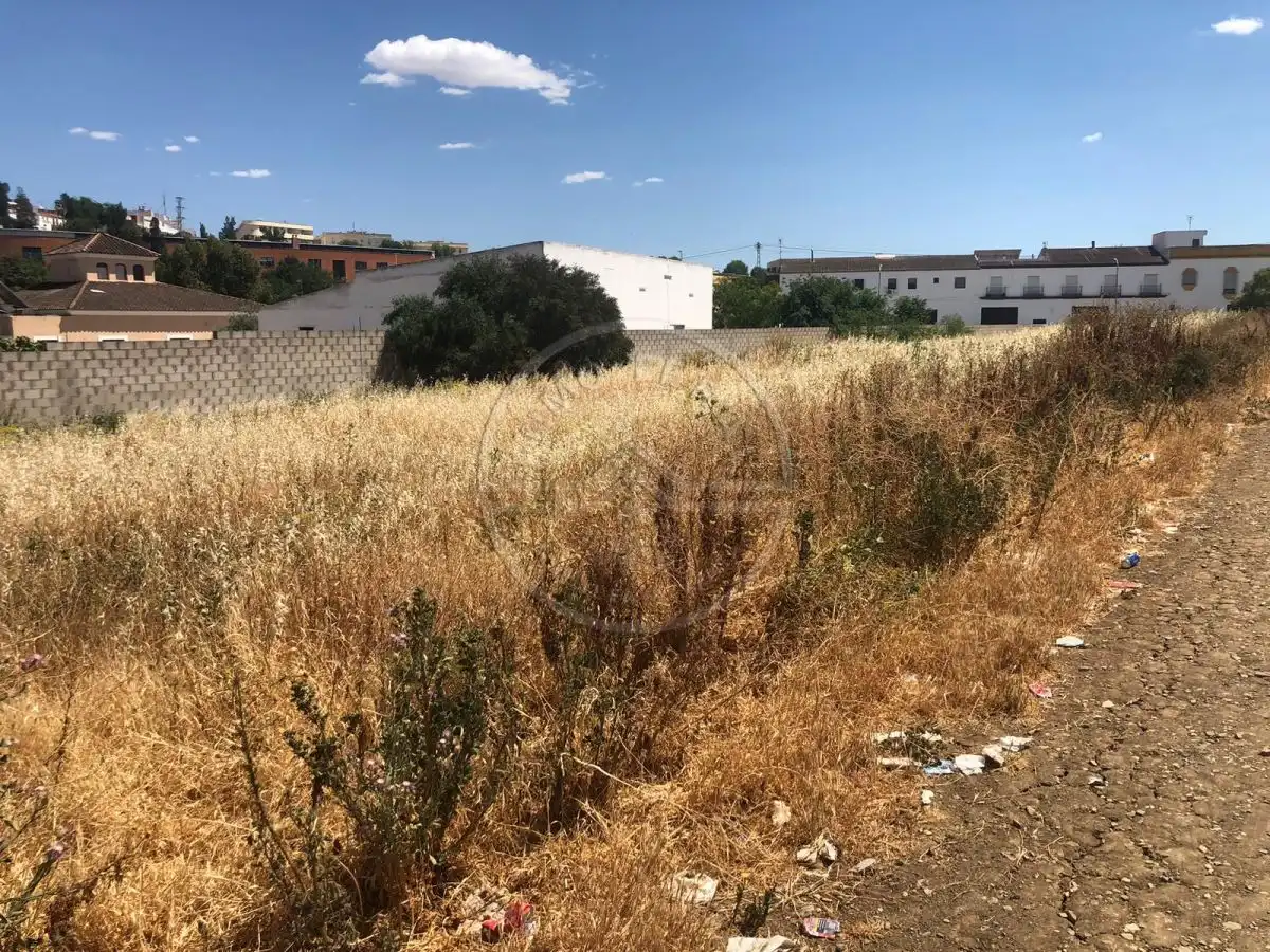 Terreno residenziale in vendita a Marchena, imagen 17