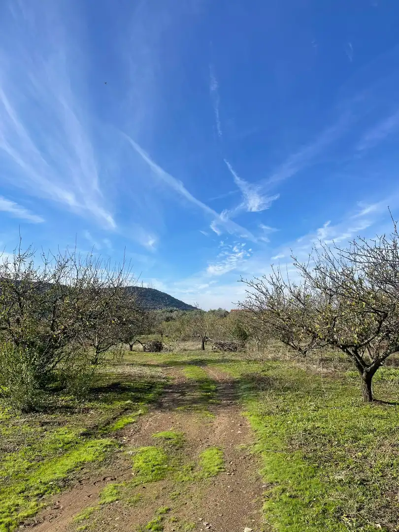 Casa o chalet en venta en Plasencia con Jardín privado y Amueblado