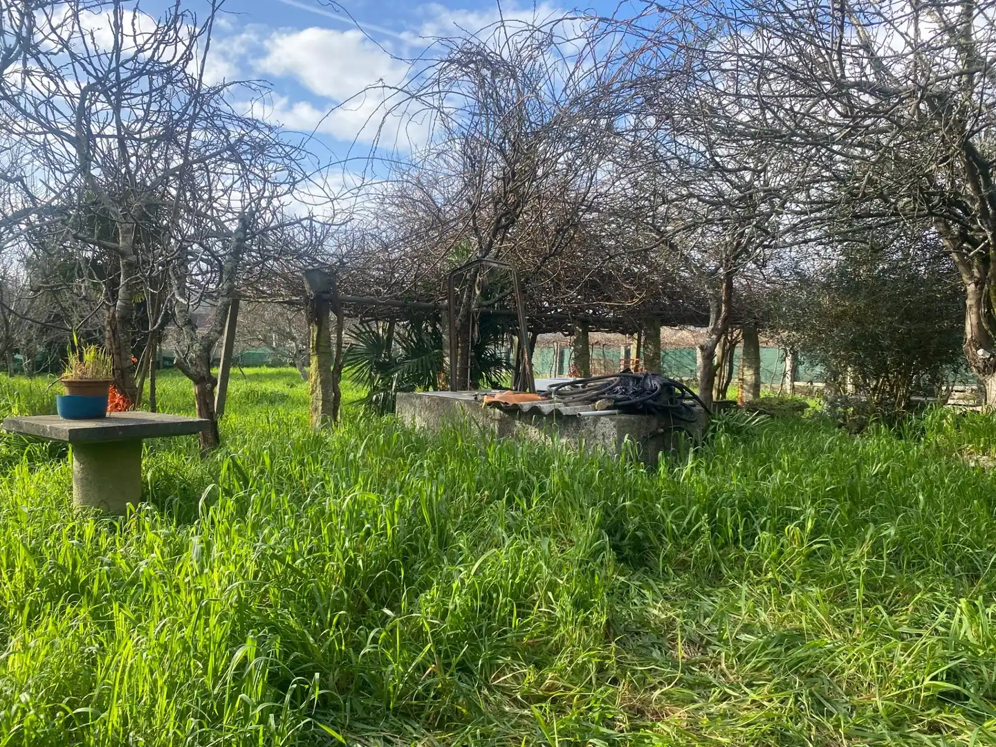 Casa o chalet en venta en Caldas de Reis con Jardín privado