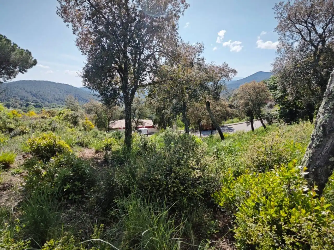 Wohnbaugrundstück zum Verkauf in Riudarenes