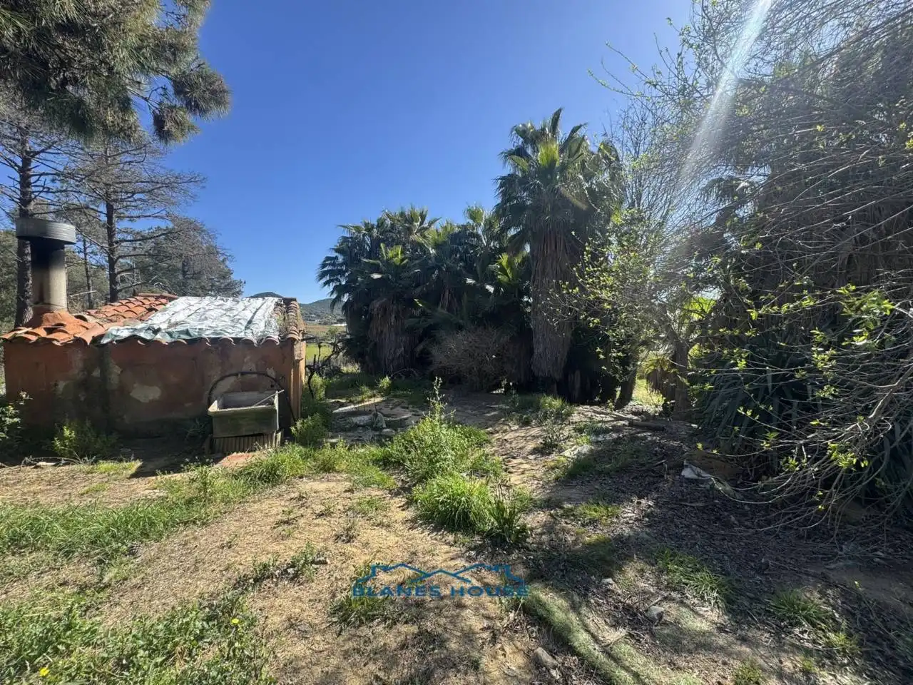 Terreno rustico in vendita a Calle Bosch Rabasa 1, imagen 17