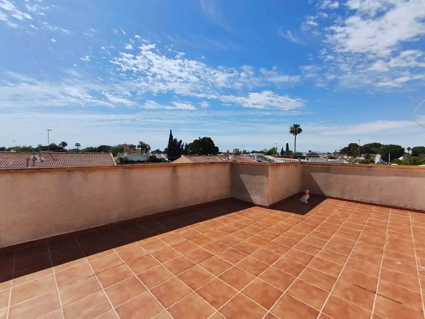 Casa o chalet de alquiler en Avenida de el Mirador, 2, Santiago de la Ribera