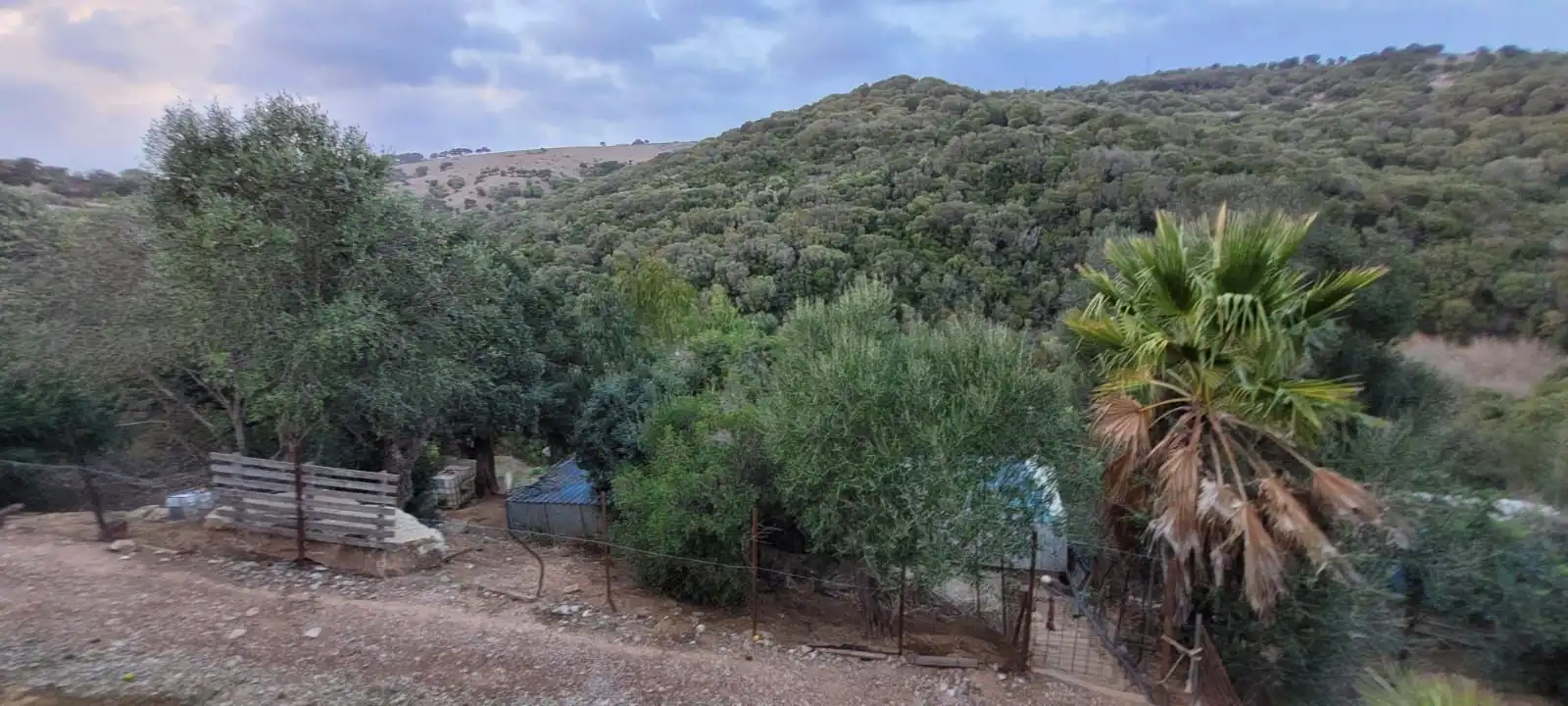 Finca rústica en venda en Los Barrios amb Calefacció, Jardí privat i Traster