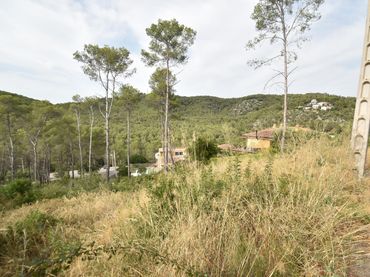 Terreno residenziale in vendita a Carrer GUINEU DE LA (M. MESTRE)