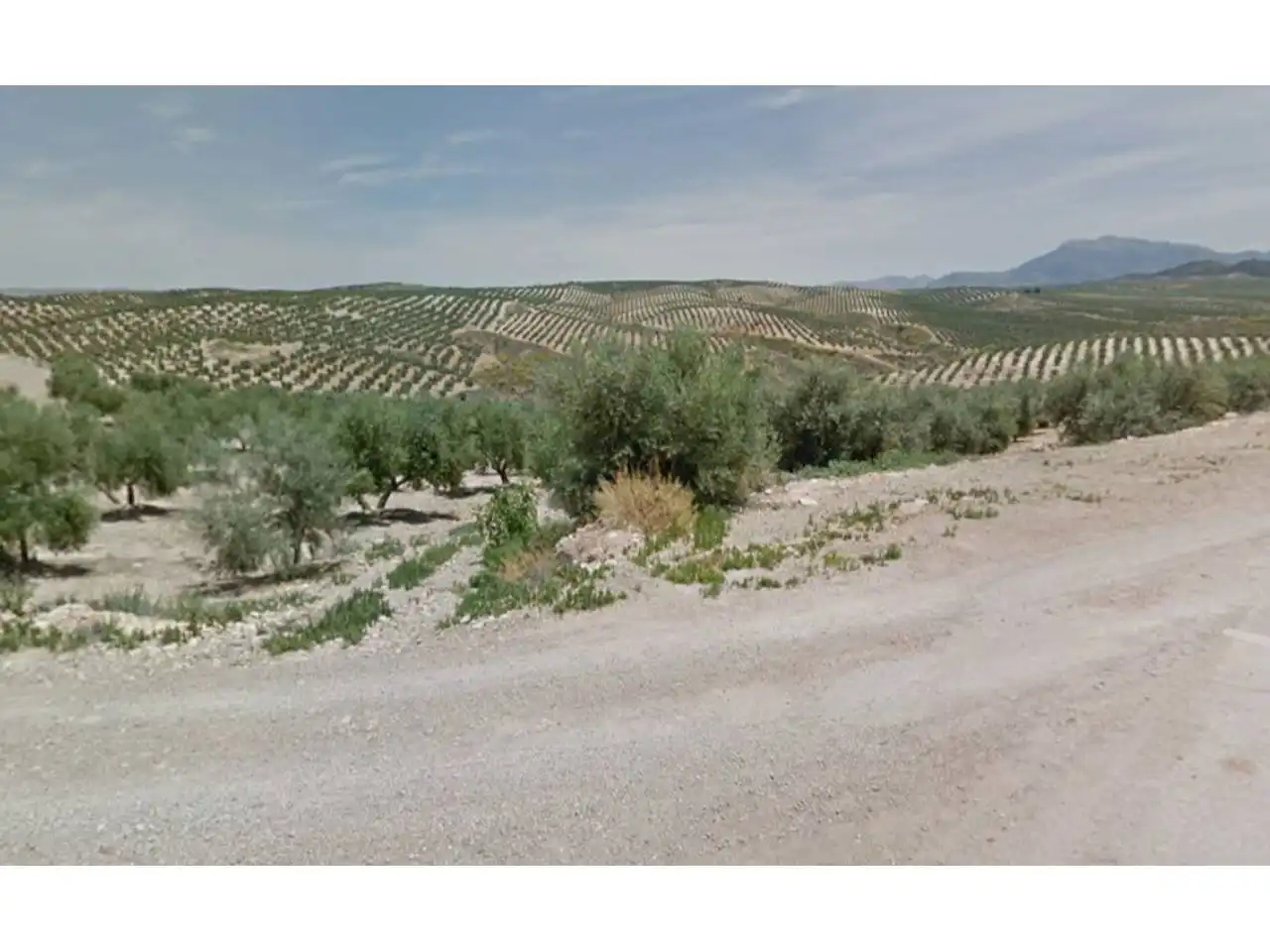 Land for sale in Villatorres