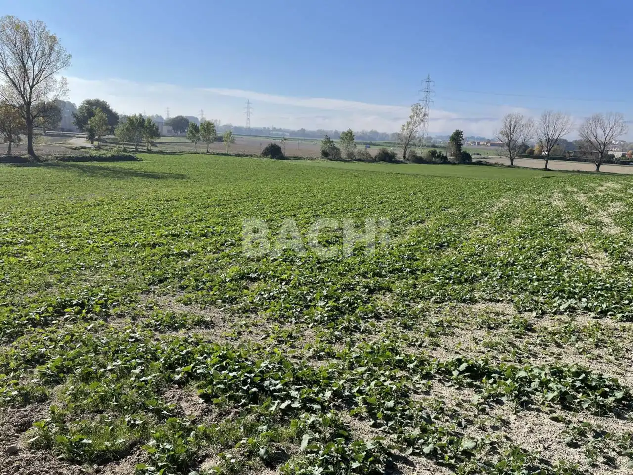 Finca rústica en venta en Santa Eugènia de Berga