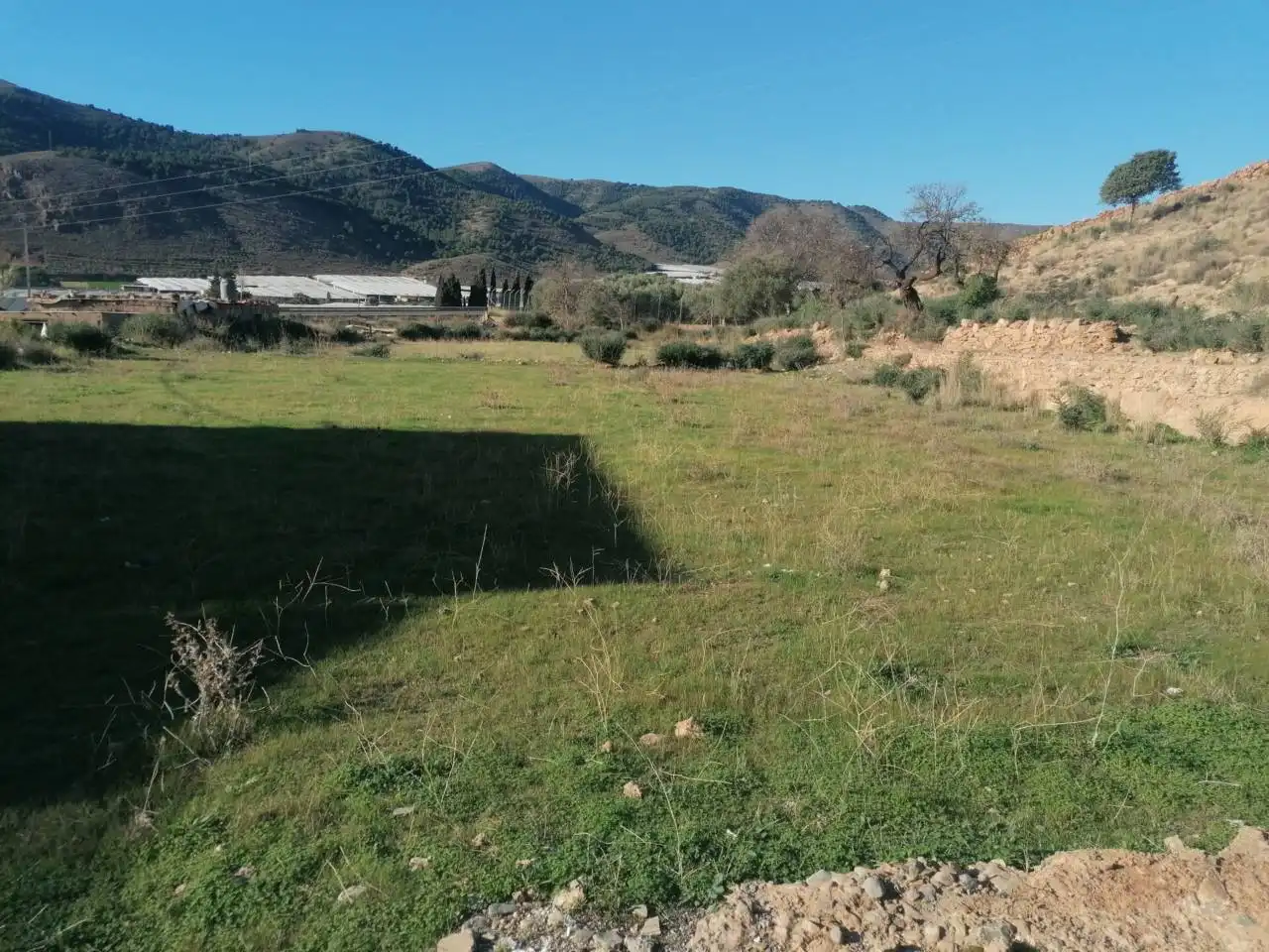 Terreno industrial en venta en Dalías