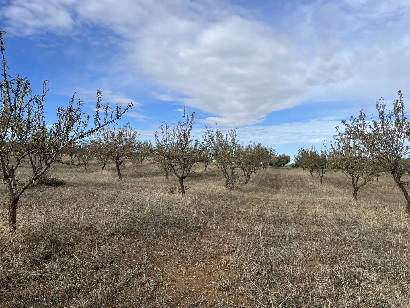 Rustikales Grundstück zum Verkauf in Avenida de Andalucía, imagen 8