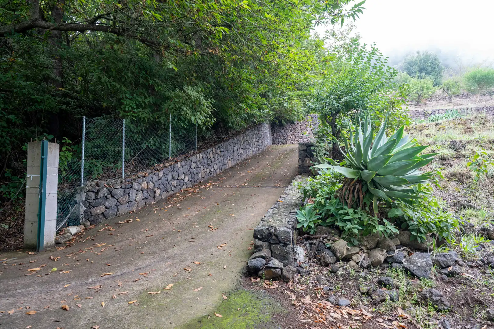 Finca rústica en venta en Calle de El Balayo, La Perdoma - San Antonio - Benijos