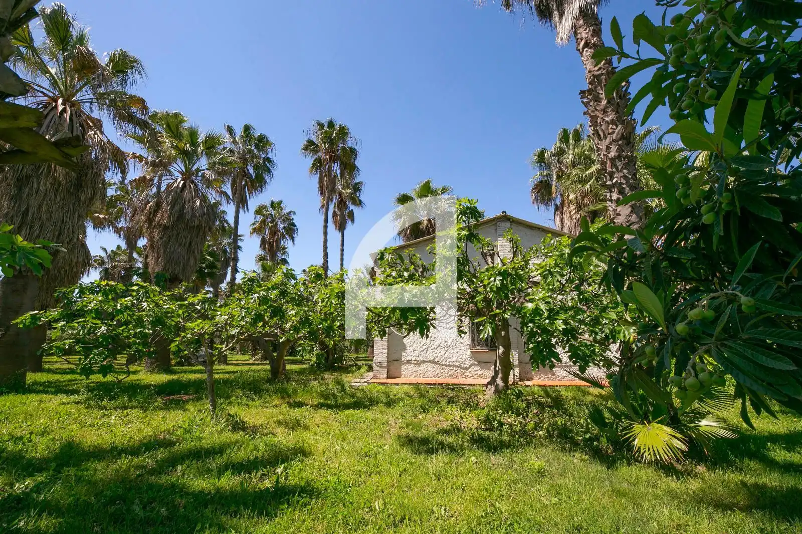 Jardín de Finca rústica en venta en Sant Boi de Llobregat con Terraza y Trastero
