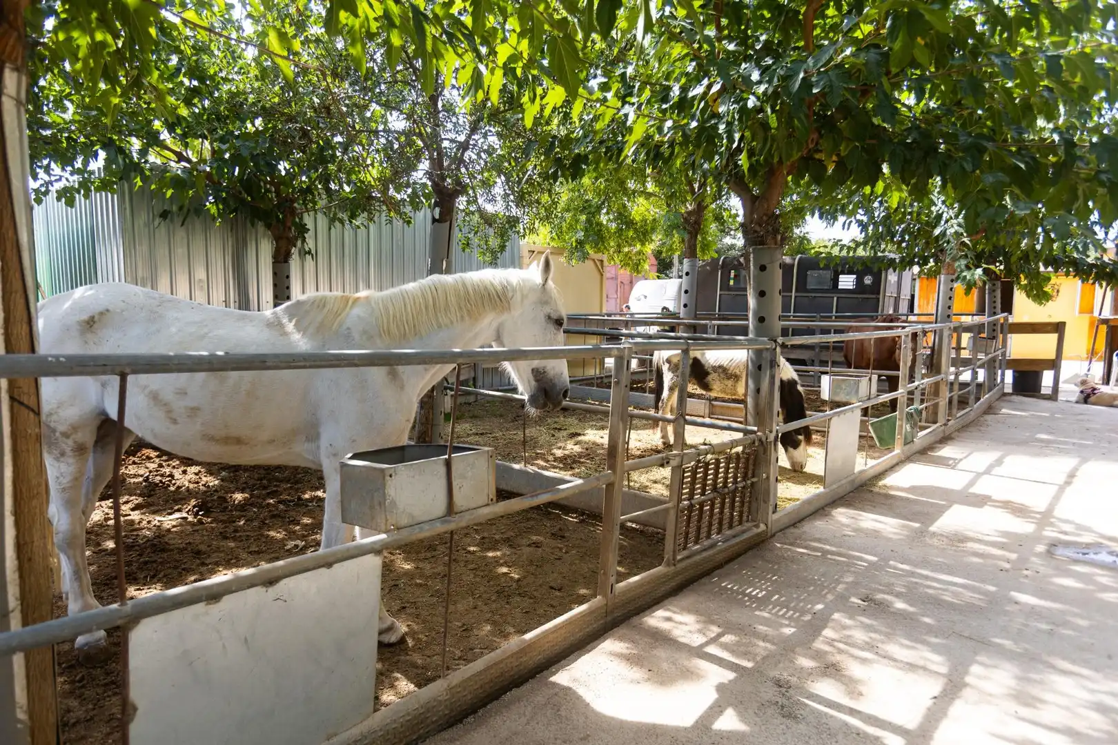Villa avec balcon à vendre à Pedanías Este, imagen 65