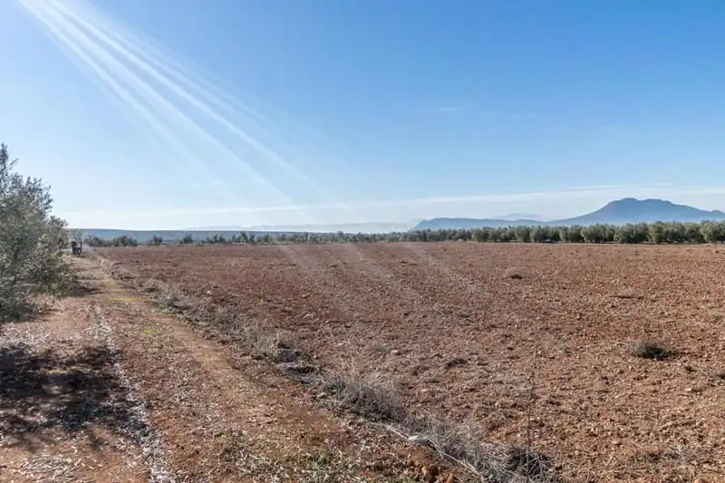 Casa rústica en venda a PAGO CORTIJO DE LAS MONJAS POLIGONO 1 PARCELA 193, imagen 36