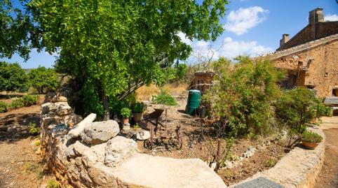 Photo 4 of House or chalet for sale in Santa María del Camí - Carrer Dantoni Gelabert, Santa María del Camí, Illes Balears