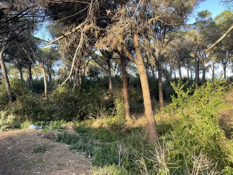 Residential land for sale in INDUSTRIAL CN II, POLIGONO 18, PARCELA 44, imagen 10