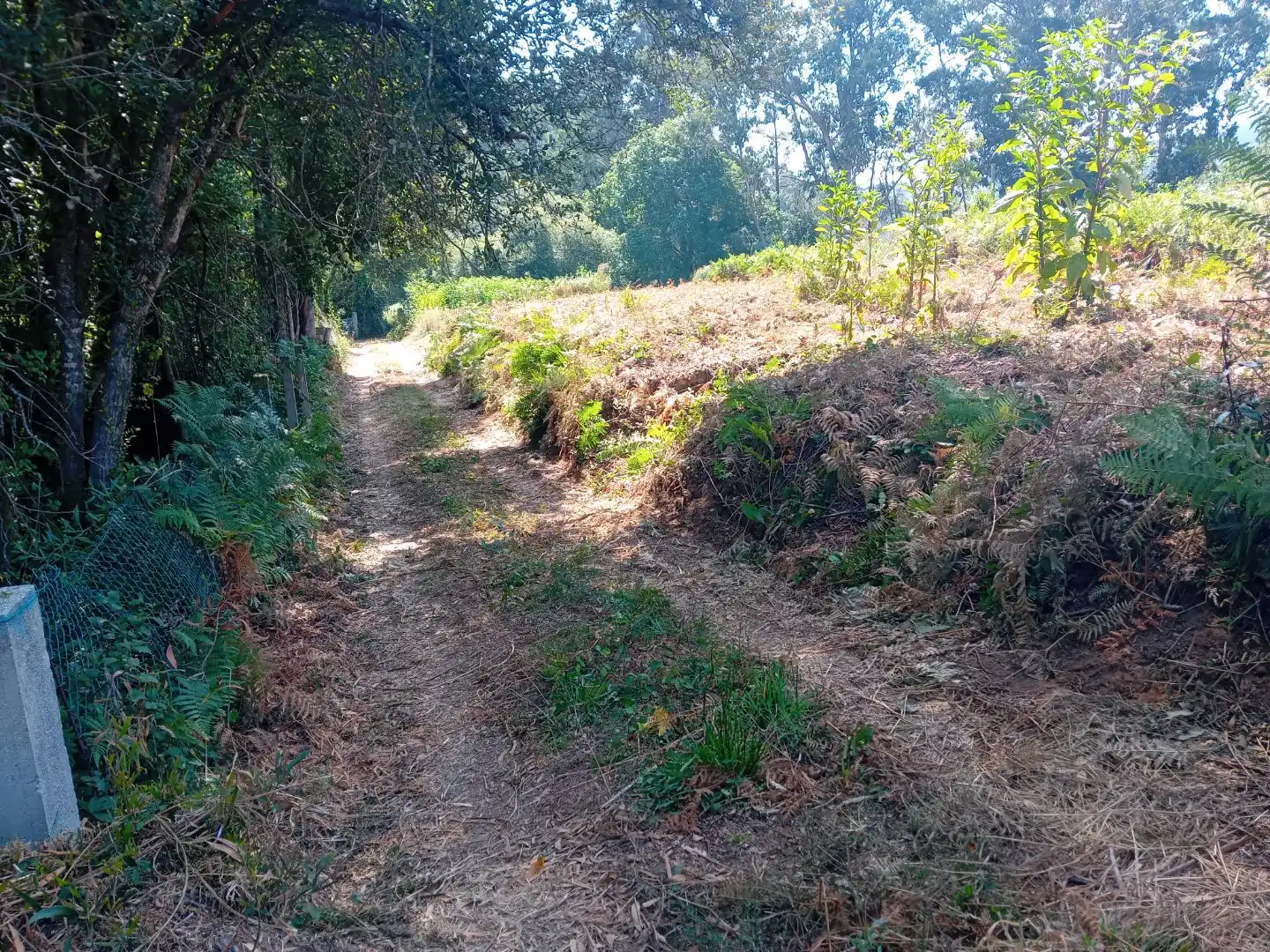 Terrain rustique à vendre à Carretera Portal-Valadares 151, imagen 8