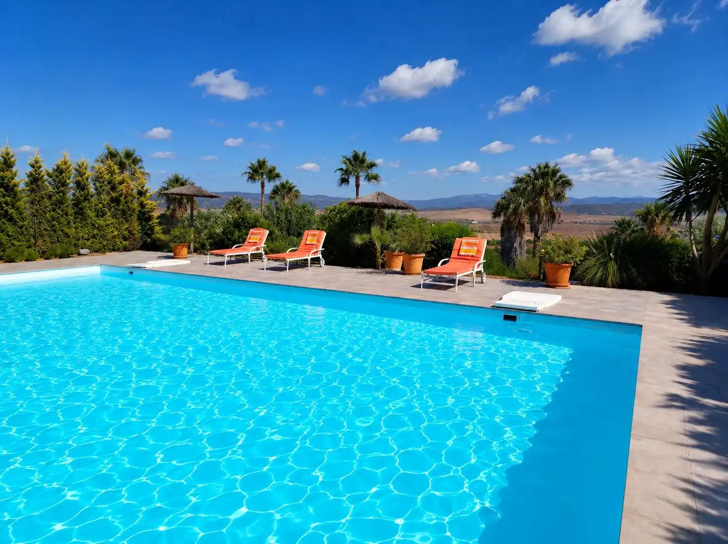 Piscina de Casa o xalet en venda en Benalup-Casas Viejas amb Aire condicionat, Calefacció i Jardí privat