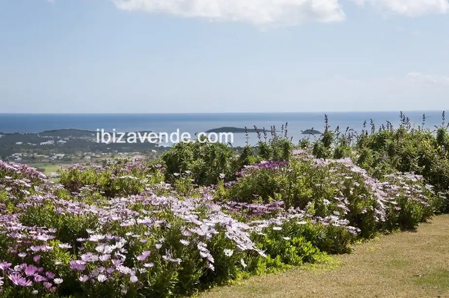 Detached house with pool for sale in C. de San Jaime, imagen 23