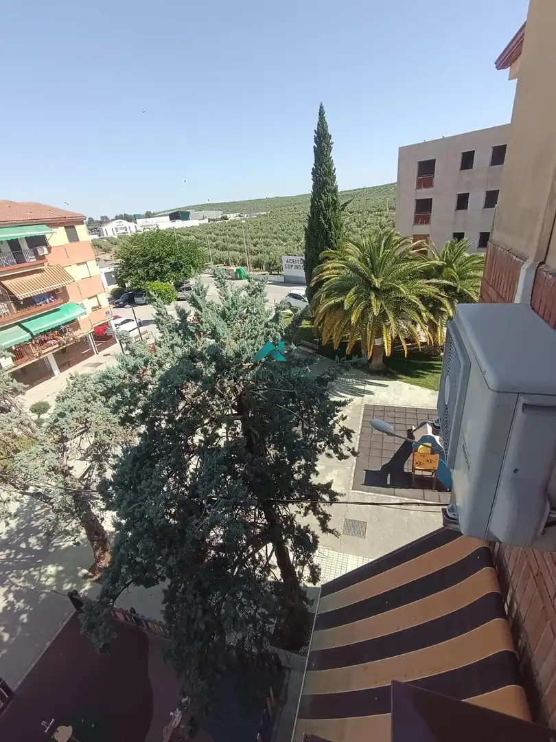 Garten von Wohnung zum Verkauf in Torredonjimeno mit Klimaanlage, Terrasse und Möbliert