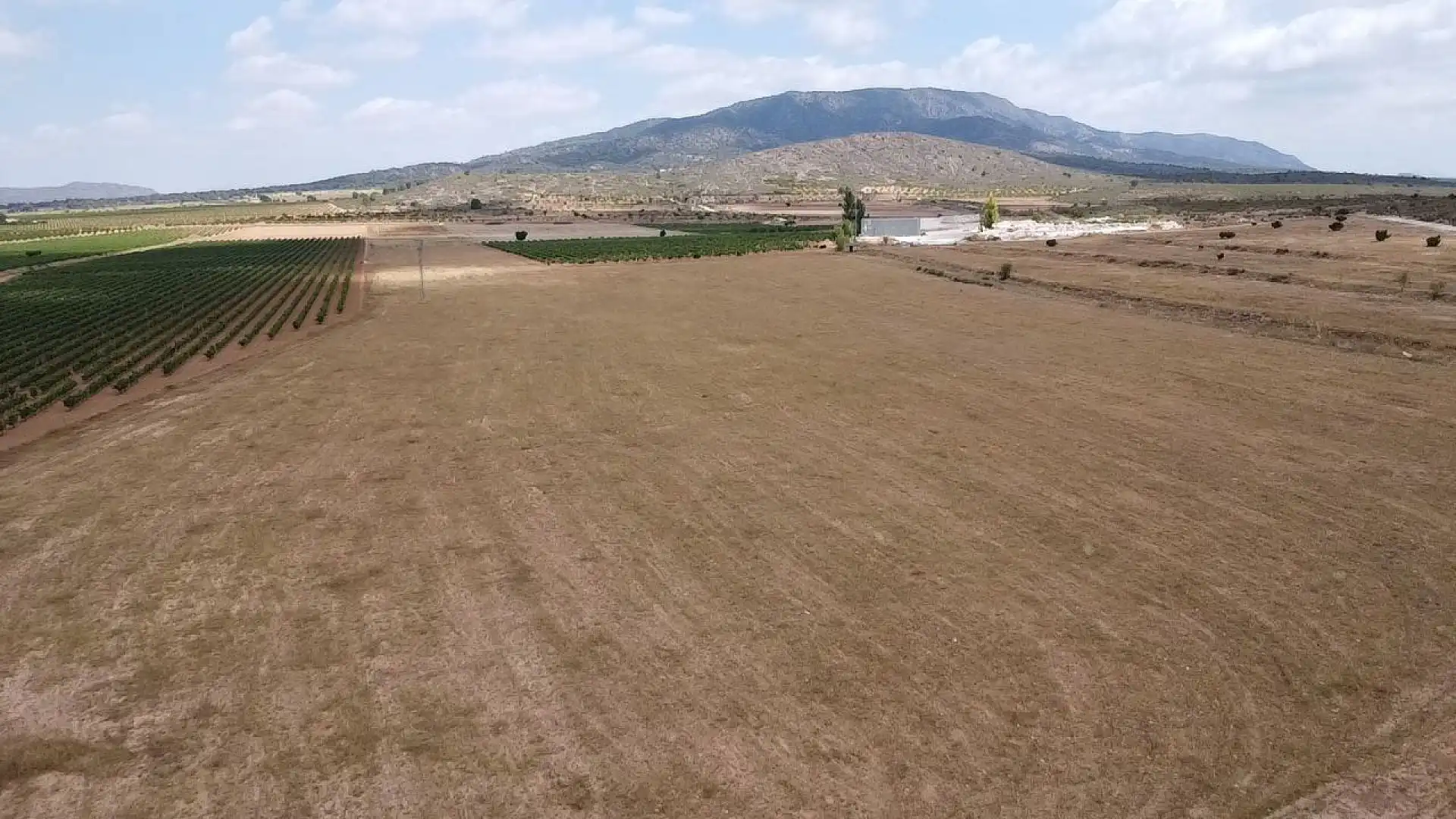 Haus zum Verkauf in El Pinós / Pinoso, imagen 12