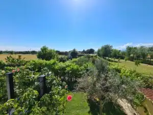 Jardí de Finca rústica en venda en Fuente El Saz de Jarama amb Aire condicionat, Calefacció i Jardí privat