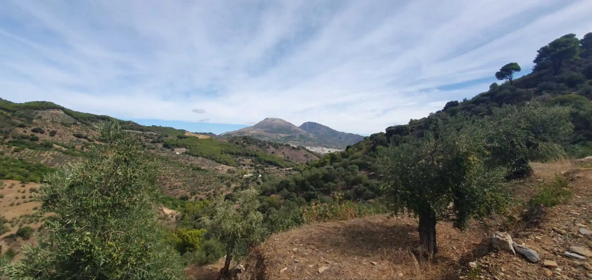 Terreni e lotti in vendita a Yunquera, imagen 8