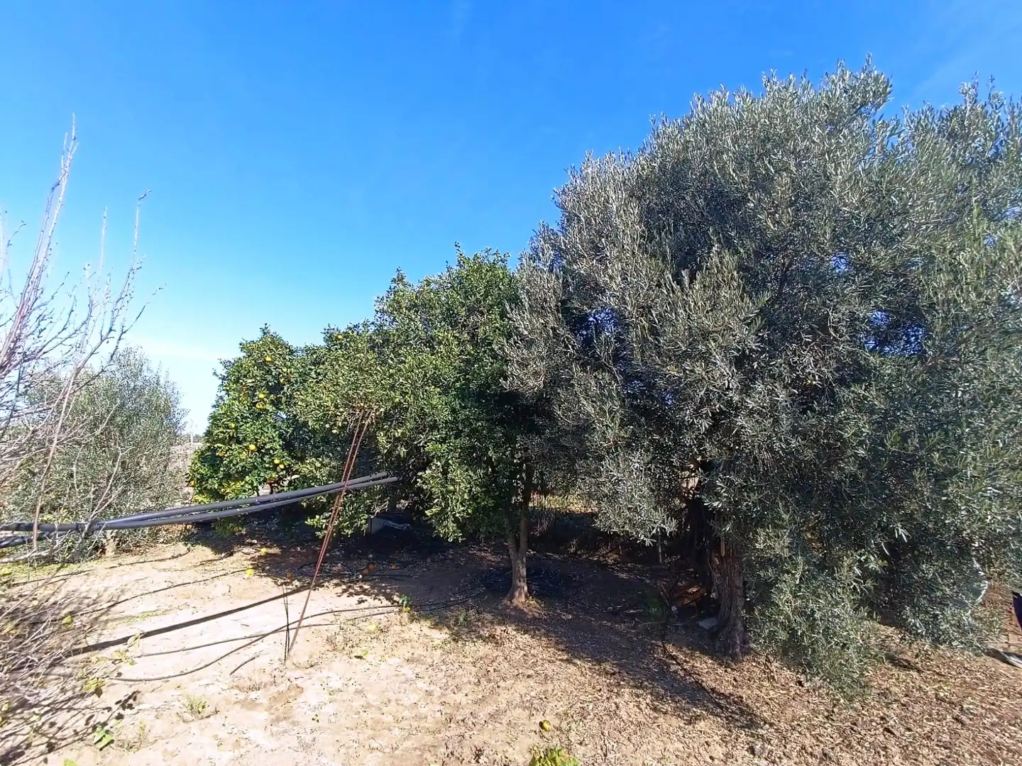Terreni e lotti in vendita a El Juncal - Vallealto, imagen 21