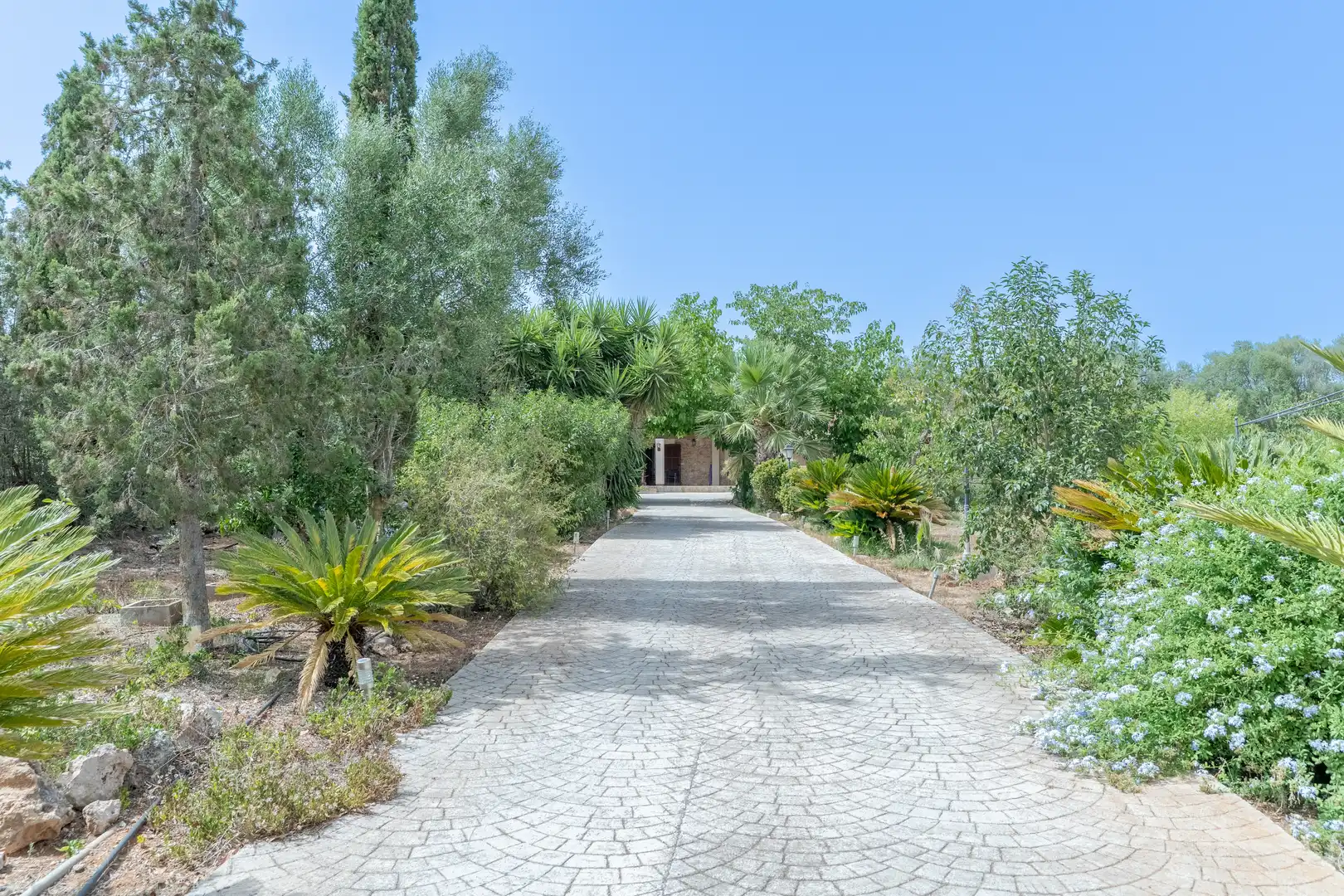 Casa rustica con piscina in vendita a Algaida, imagen 33