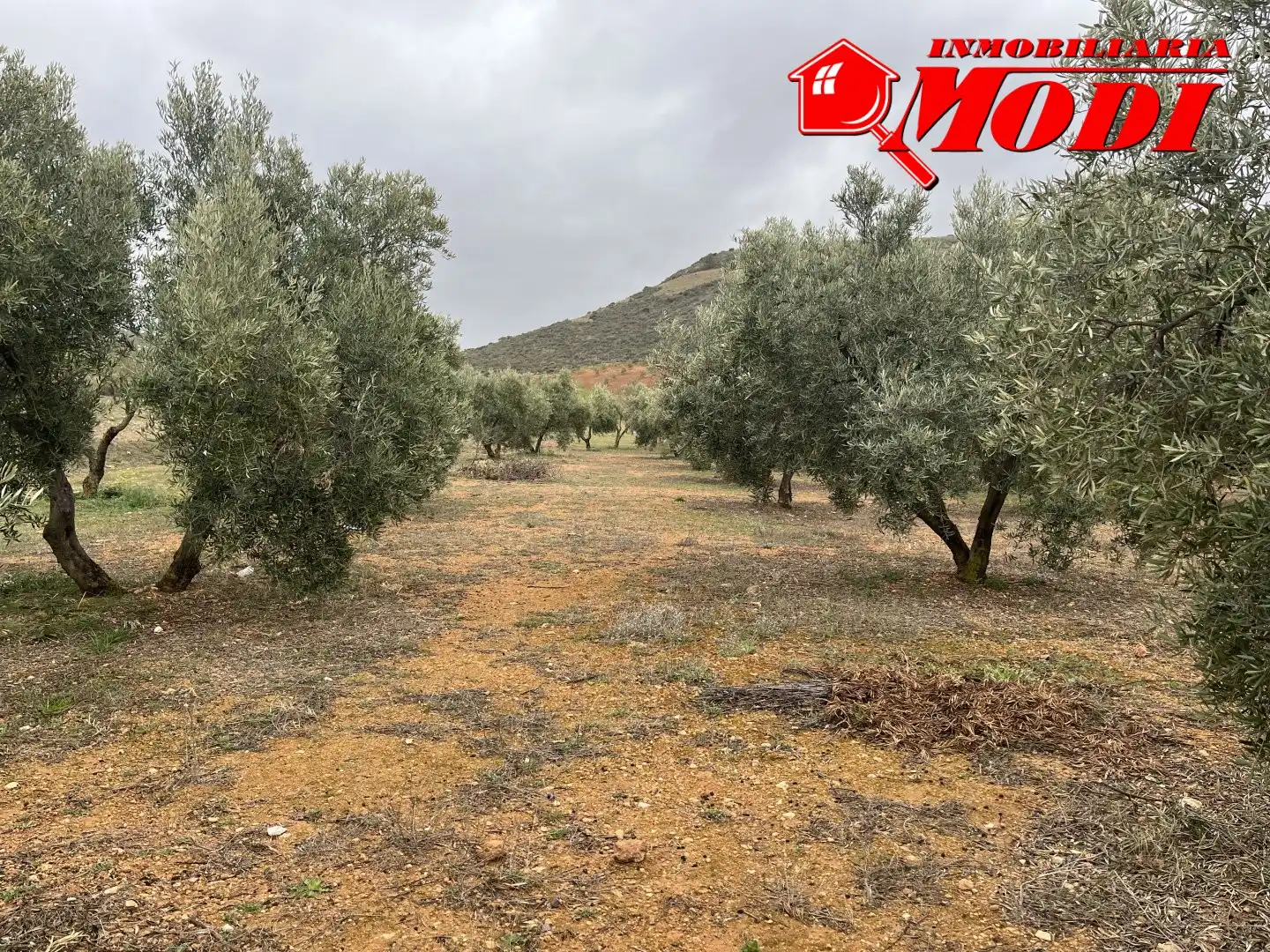 Residencial en venta en Albuñuelas