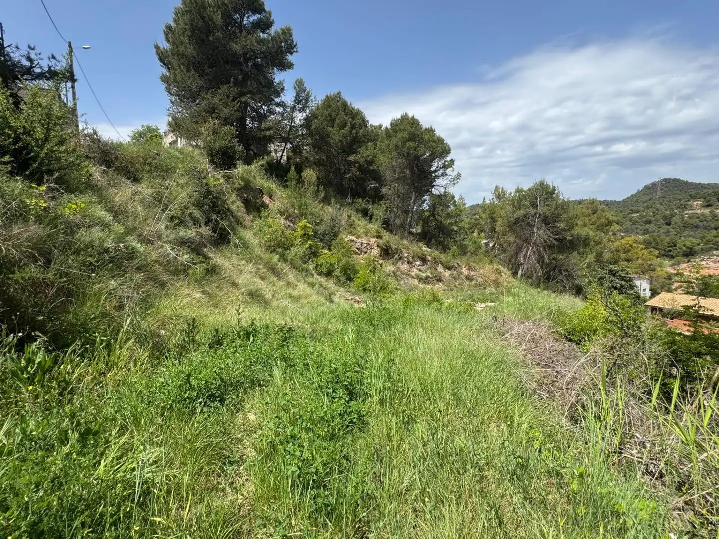 Residential land for sale in La Pobla de Claramunt, imagen 11