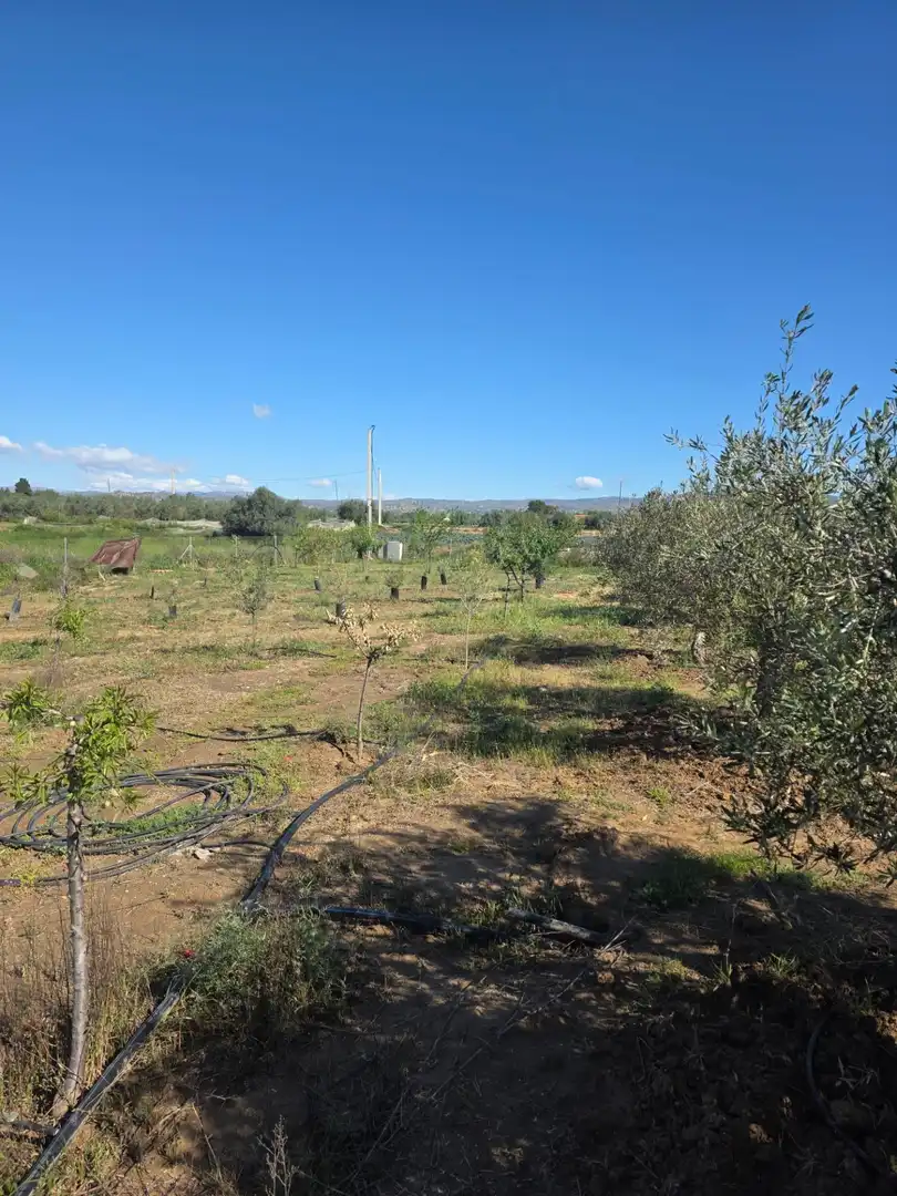 Detached house with garden for sale in Huércal-Overa, imagen 6