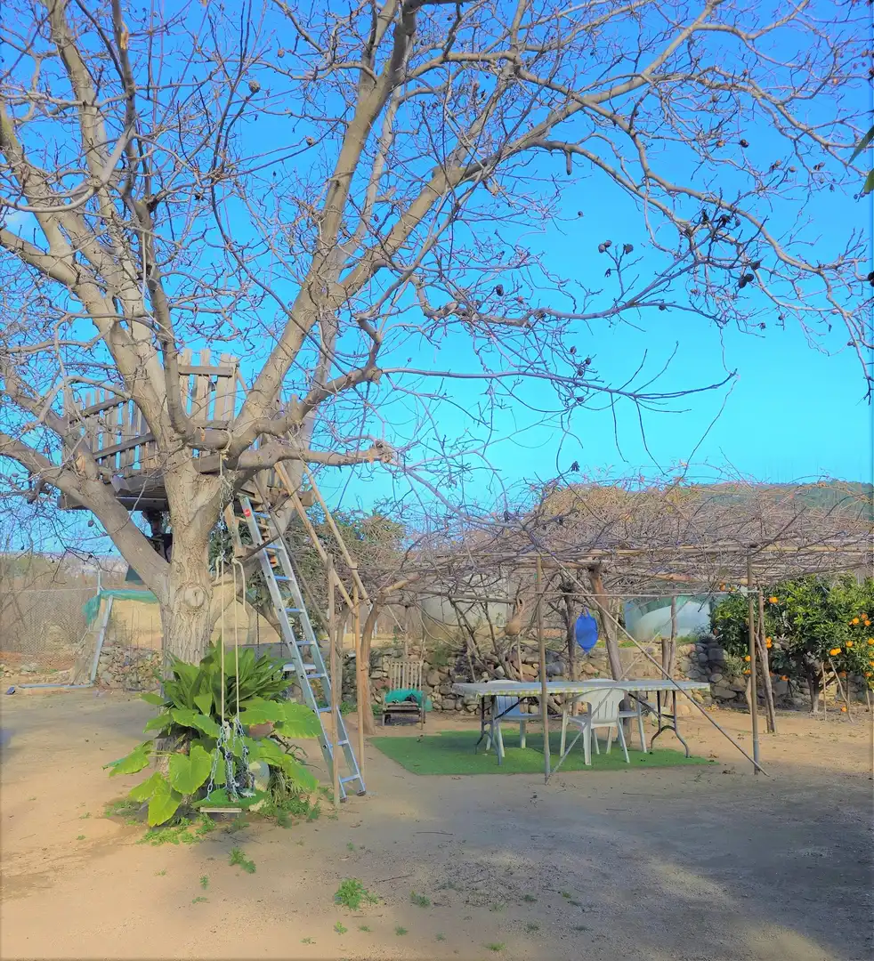 Garten von Residential zum Verkauf in L'Aleixar