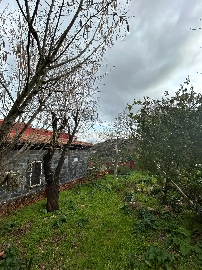 Casa o xalet en venda en Cáceres amb Jardí privat i Piscina