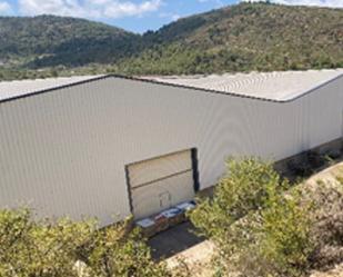 Exterior view of Industrial buildings for sale in Lucena del Cid