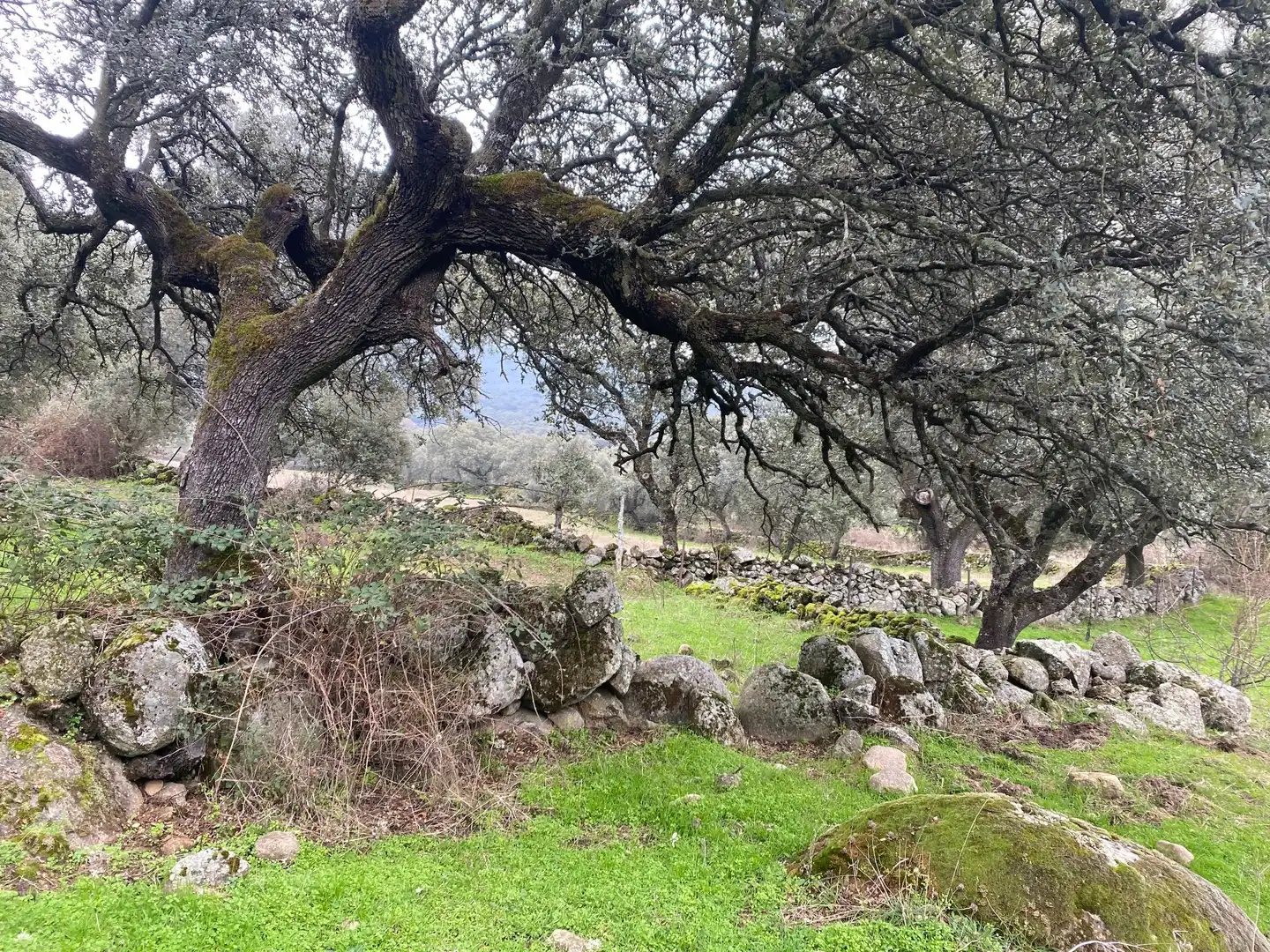 Terreni e lotti in vendita a Navamorcuende, imagen 18