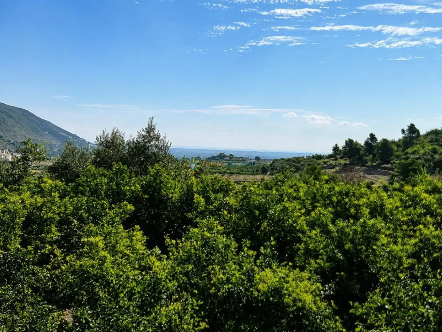 Rural land for sale in L'Atzúbia