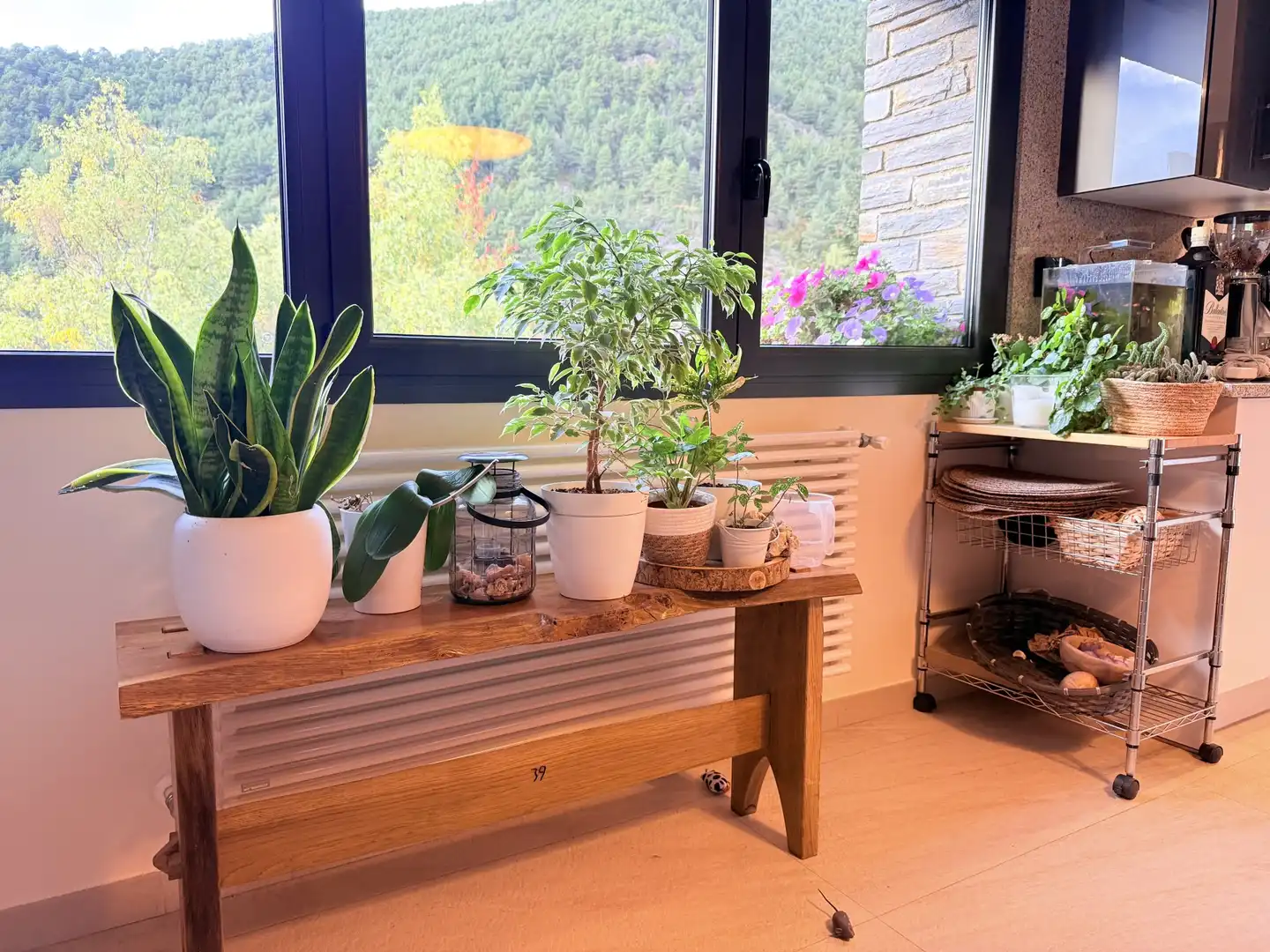 Adosado con terraza en venta en Els Oriossos, imagen 13