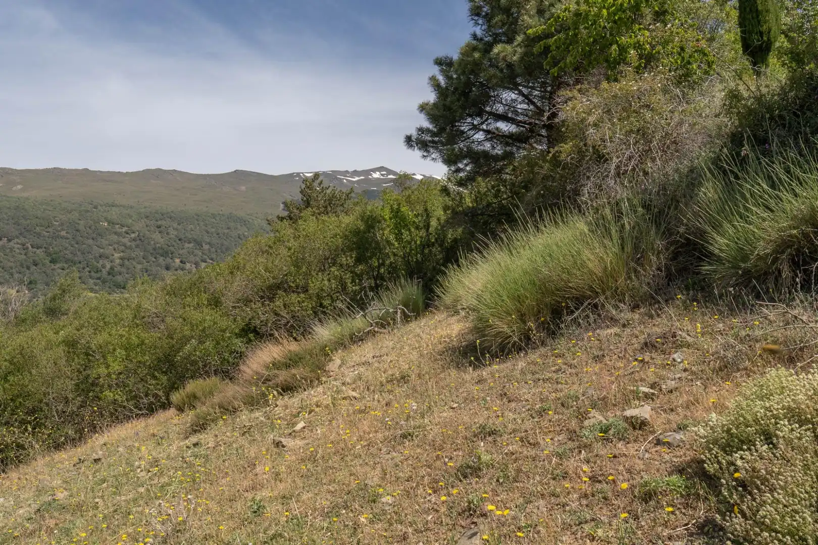 Terreno en venta en Soportújar