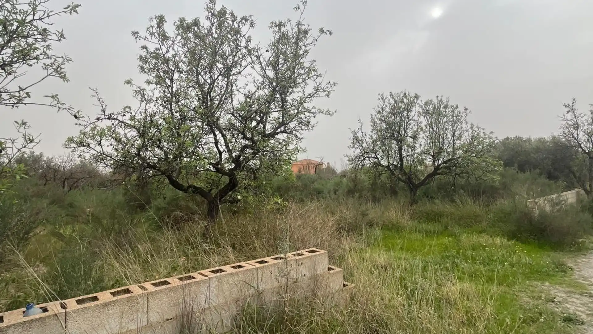 Grundstücke zum Verkauf in La Algoda - Matola - Llano de San José