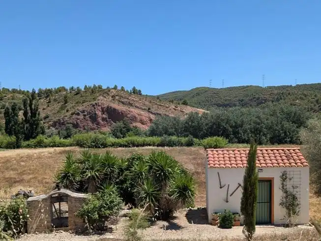 Garden of Country homes for sale in Garcia  with Private garden, Terrace and Furnished