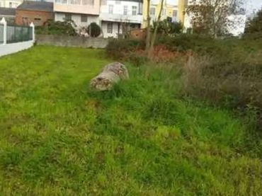 Wohnbaugrundstück zum Verkauf in Rúa Camiño Verde